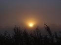 Slunce úspěšně rozráží ranní mlhu nad Nord-Ostsee-Kanal nedaleko obce Schafstedt.